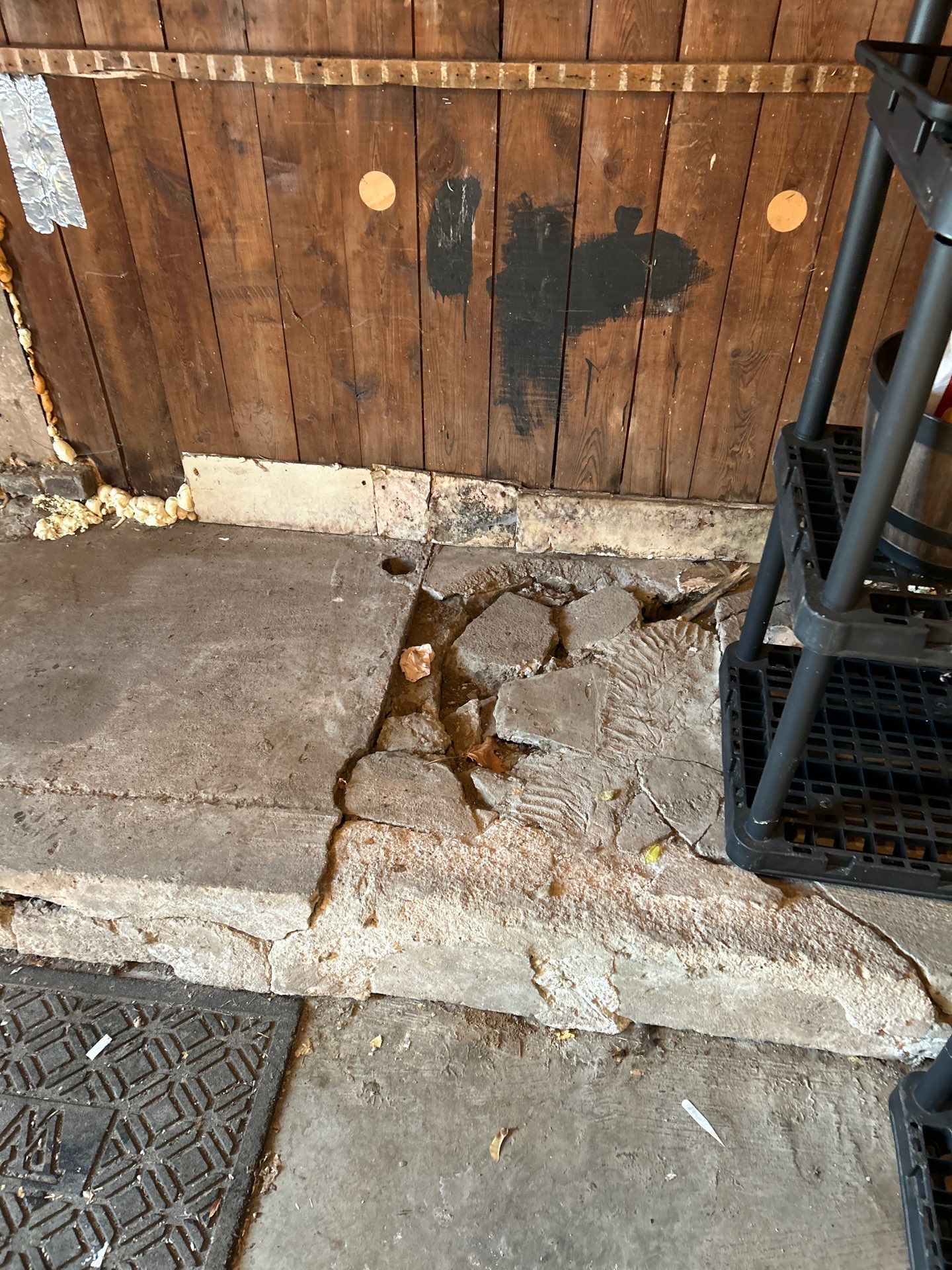 Emily Slatter Project