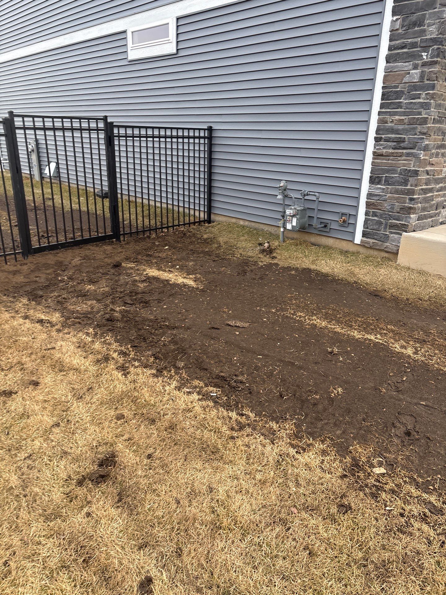 Shannon Triggs Project